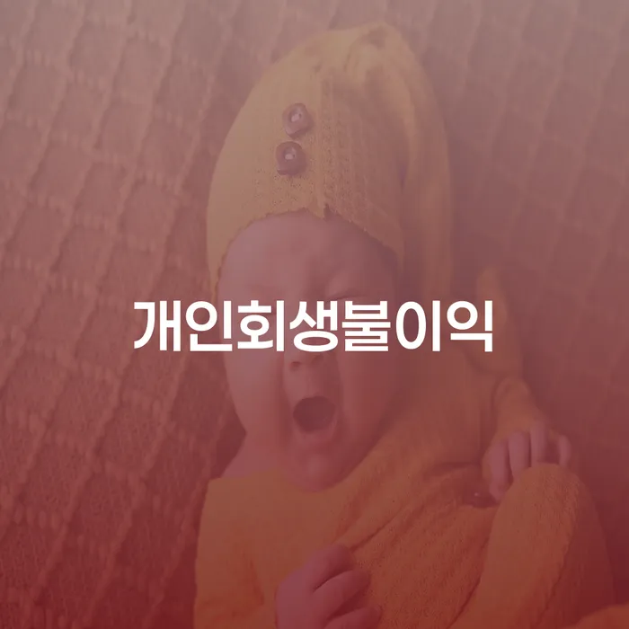 개인회생도박으로 인한 채무 정리 개인파산 확실한 진행