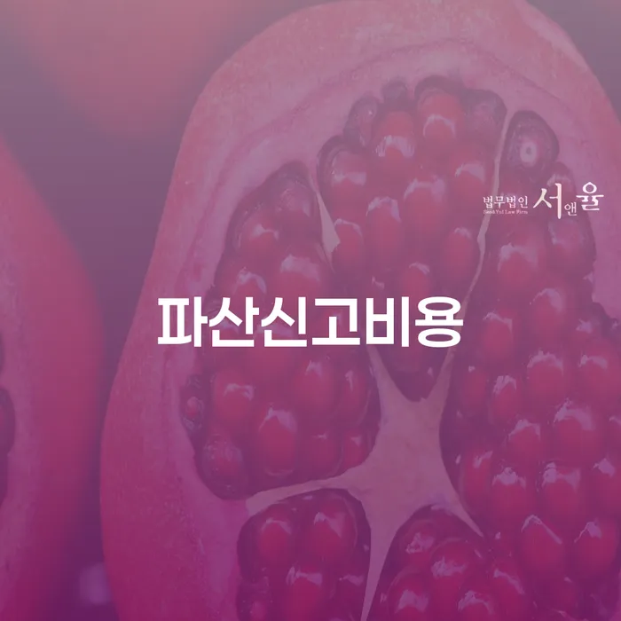 개인회생사무실 카드빚 연체 체크리스트