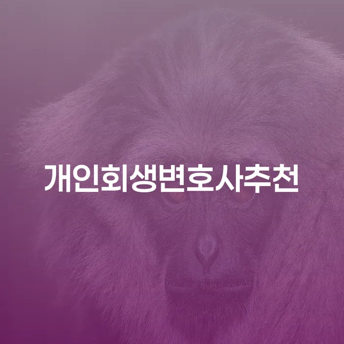 개인회생제도 빚청산 신청했을 경우