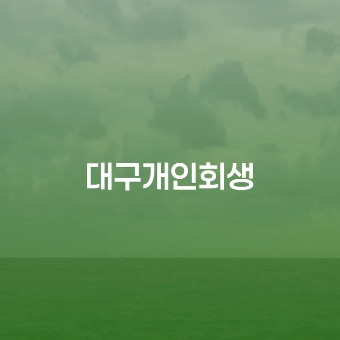 김포시 신용불량자 개인회생 처리방법 판단을위해