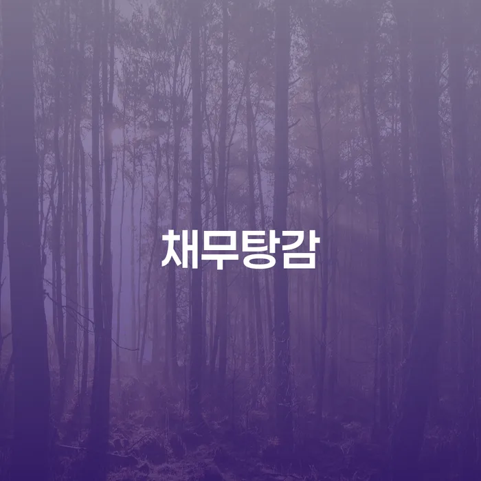 나주시 개인회생법원 빚 합법적인 빠른방법 직접 물어보고