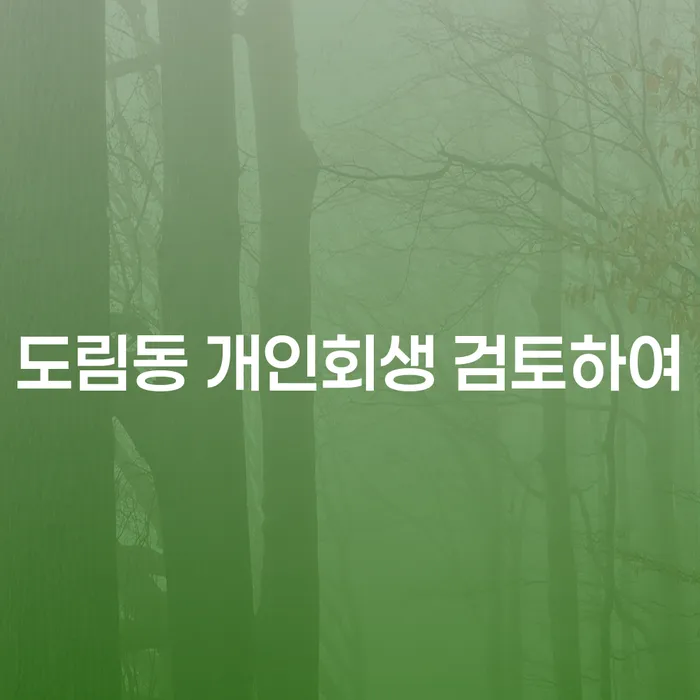 도림동 개인회생 검토하여
