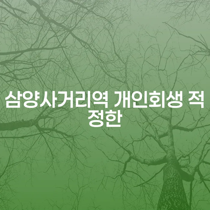 삼양사거리역 개인회생 적정한