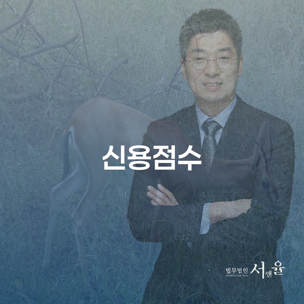 신용점수와 개인회생의 상관관계 이해하기