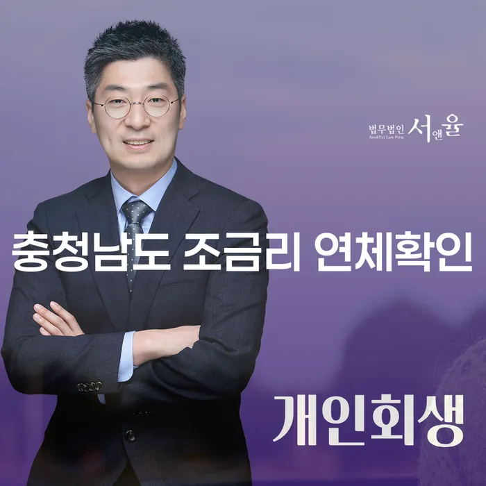 충청남도 조금리 연체확인과 개인회생, 어떻게 해결할 수 있을까요?
