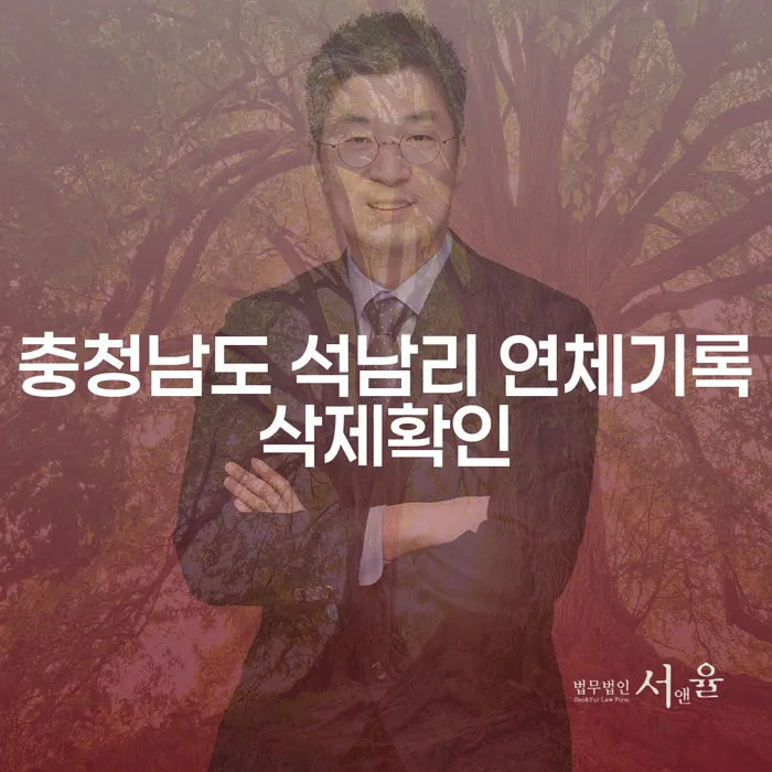 충청남도 석남리 연체기록삭제확인, 어떻게 해결할 수 있을까요?