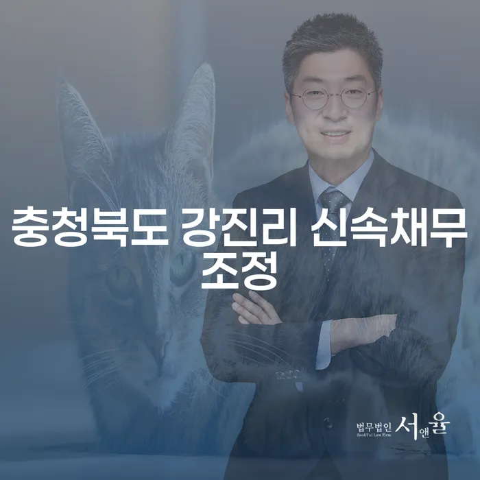 충청북도 강진리에서 신속채무조정을 통해 재정 상황을 개선할 수 있을까요?