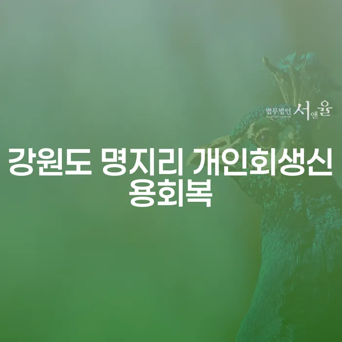 강원도 명지리에서 개인회생신용회복을 고려 중이신가요?
