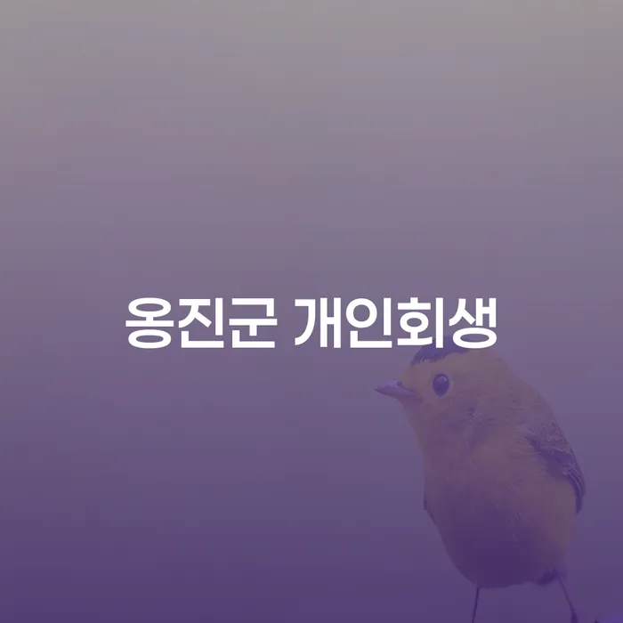 옹진군 개인회생을 통해 채무에서 벗어날 수 있는 방법은?